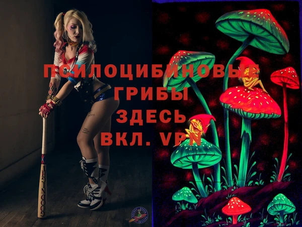 гидра Балахна