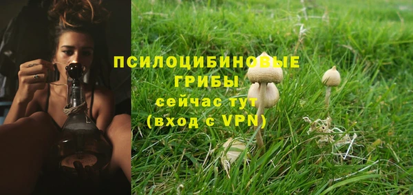 гидра Балахна