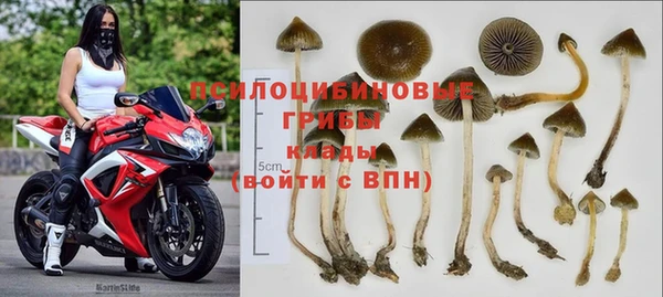 гидра Балахна