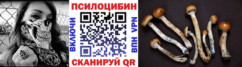 Псилоцибиновые грибы ЛСД  Чудово 